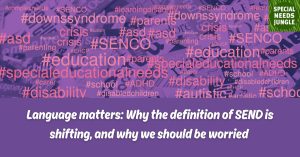 image sows a word cloud of SEND terms