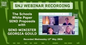 image shows a screenshot of the webinar